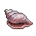 Mut_Caracola