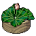 Mut_Centro_Flor