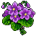 Flores Etéreas