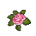 Rosa Encantada