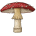 Mut_Seta_Gigante_Amanitas