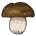 Mut_Seta_Gigante_Boletus