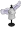 Angel's Wings