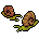 Caracol