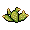 Mini Cactus