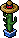 Cacto Mexicano