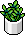 Plantinha Exótica