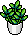 Planta Perfumada