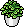 Vasinhos de Planta
