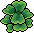 Plantas Ornamentais