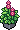 Planta Delphinium