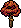 Árvore Ficus Cálido
