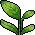 Planta na Cesta