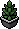 Plantinha Luxuosa