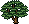 Plantinha Campestre
