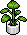 betty_24_plant_01_01