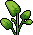 betty_24_plant_02_01