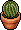 Vaso Cacto