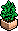 Plantinha de Loja