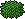 Arbusto Tropical