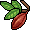 br_c25_cocoatree