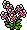 br_c25_orchids