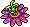 br_c25_passionflower3