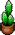 Cacto Pequeno