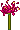 Lírio Vermelho