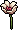 Flores Brancas