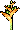 Planta do Exo