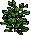 Plantinha Suculenta