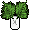 Planta Ornamental