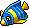 Peixe angelical