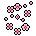 Flores Diversas