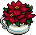 cstm_flowers_deco name
