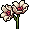 Flores Variadas