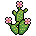 Plantinha Bubble Juice