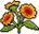 Girassois