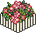 Canteiro Florido