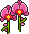 Rosas Elegantes