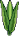 Plantinha Elegante