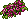 Canteiro de Tulipas