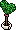 Planta do Chá