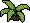 Planta Cicadófita
