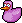 Pato Ducket