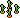 Plantas em Criscimento