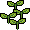 Mudas de Plantas