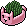 Plantas de Chia