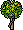 Limoeiro
